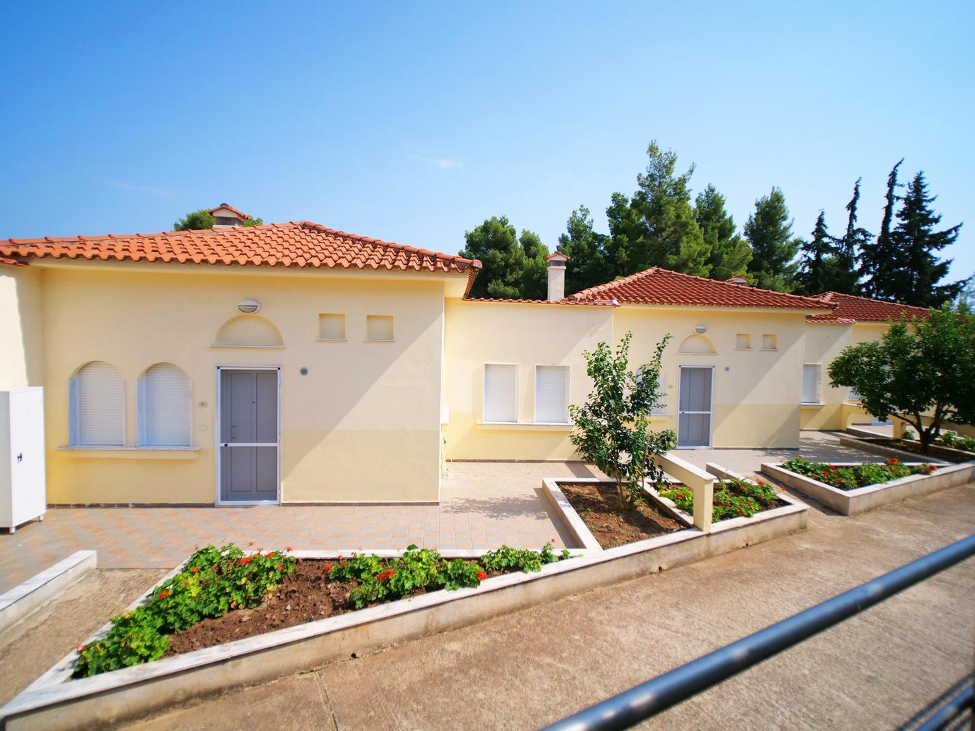 Sithonia Lodge Metamorfosi  Bilik gambar