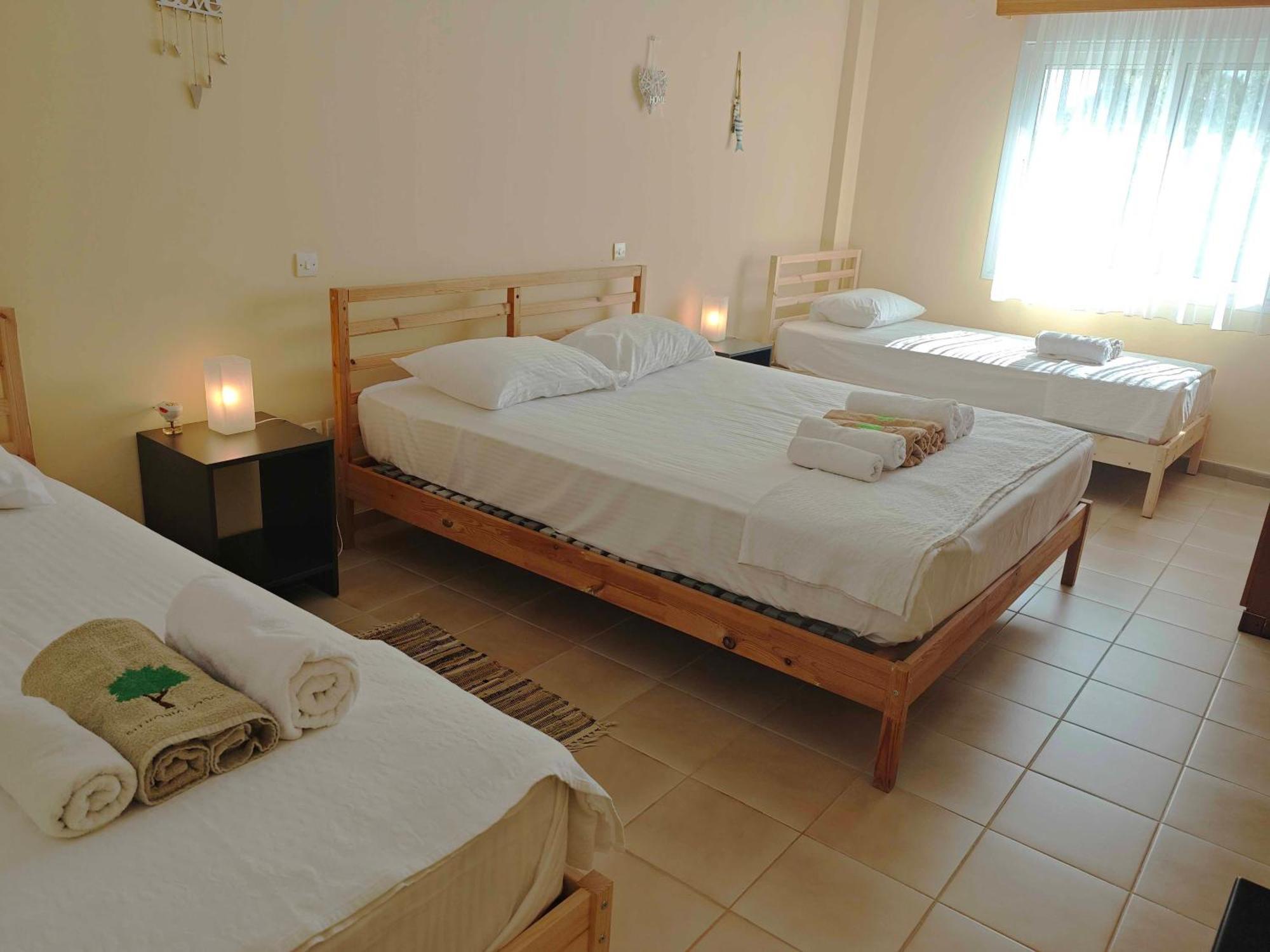 Sithonia Lodge Metamorfosi  Luaran gambar