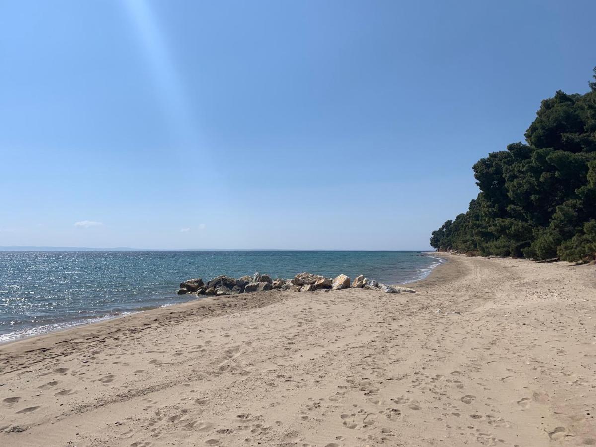 Sithonia Lodge Metamorfosi  Luaran gambar