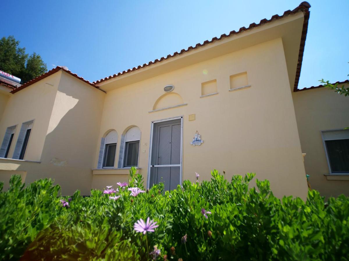 Sithonia Lodge Metamorfosi  Luaran gambar